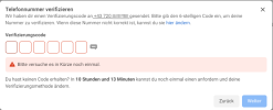 2023-01-25 11_15_33-Steiner Automation Support – WhatsApp - Meta for Developers und 20 weitere...png