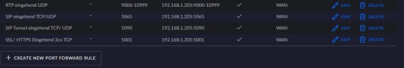 _neue Port Forwards.jpg
