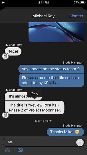 neue iOS Beta App mit der Option, Chats zu kopieren