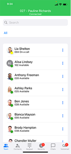 iOS Anrufleiste iOS Anrufleiste