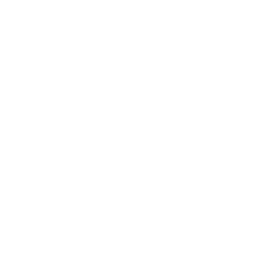Users